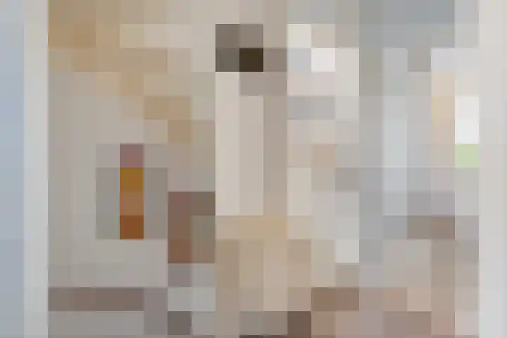 Kastanjelaan 37 Meteren thumbnail 23