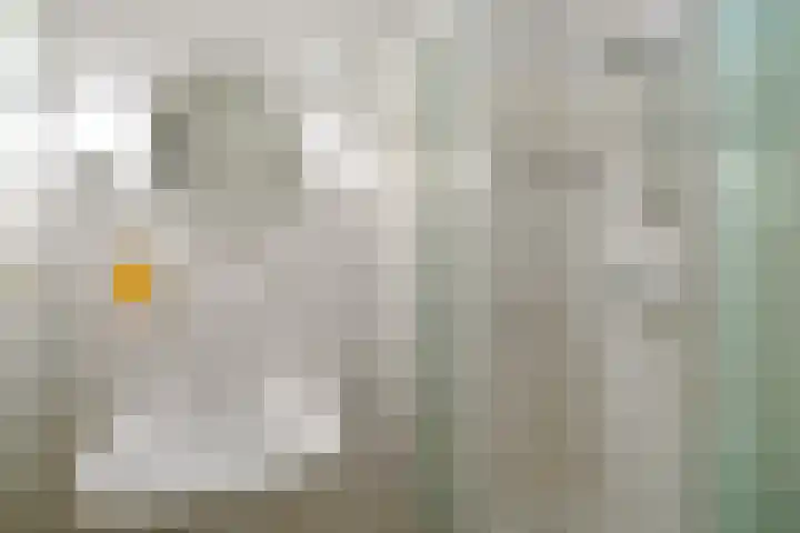 Kastanjelaan 38 Heerle thumbnail 19
