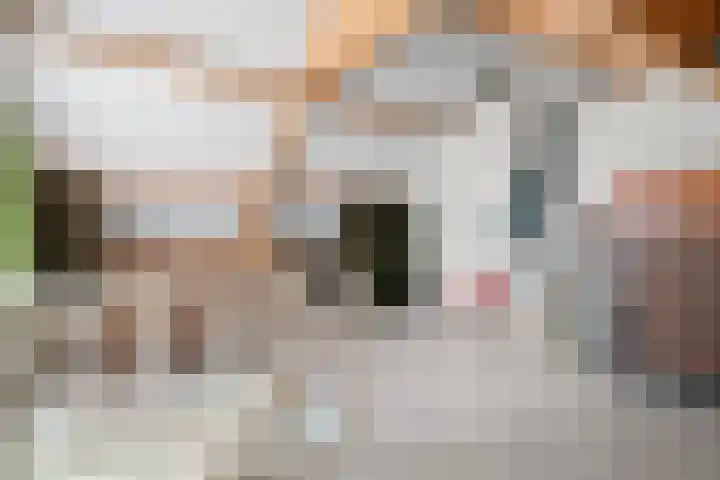 Kastanjelaan 38 Heerle thumbnail 25