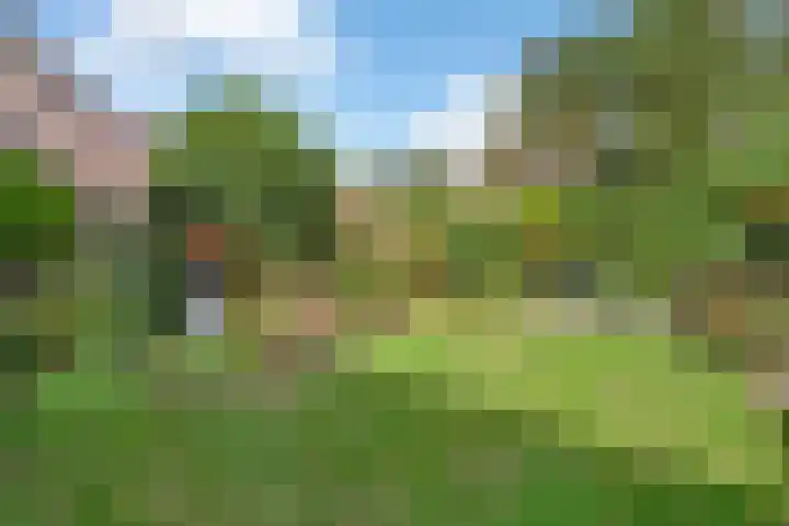 Kastanjelaan 38 Heerle thumbnail 28