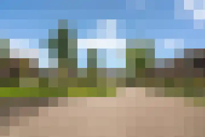 Kastanjelaan 38 Heerle thumbnail 37