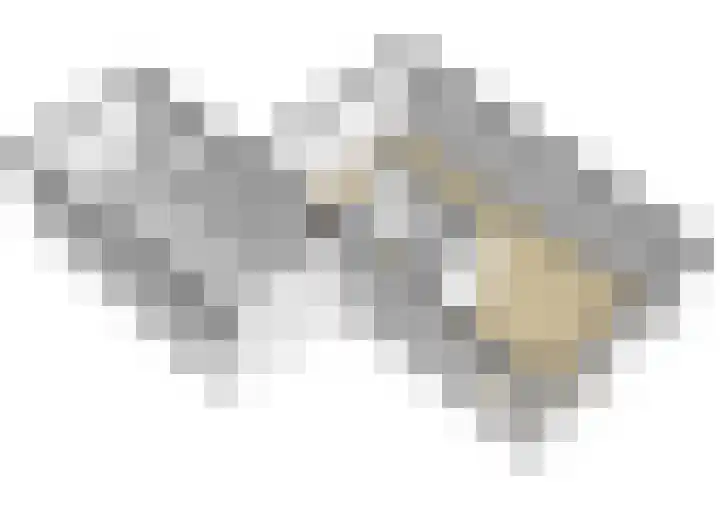Kastanjelaan 38 Heerle thumbnail 44