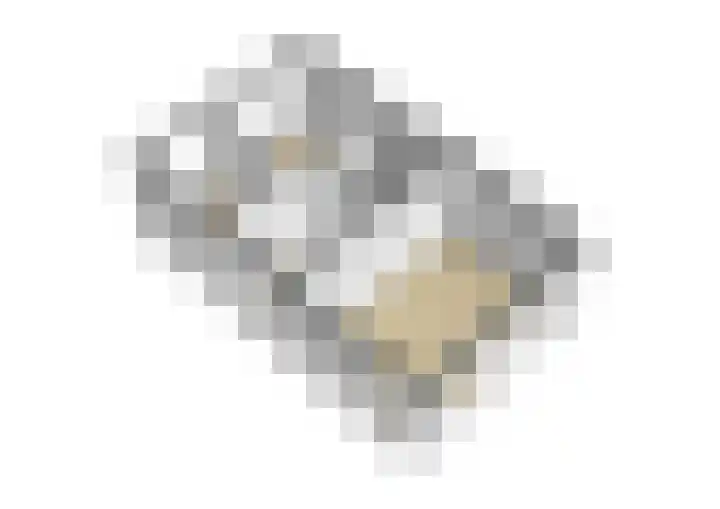 Kastanjelaan 38 Heerle thumbnail 45