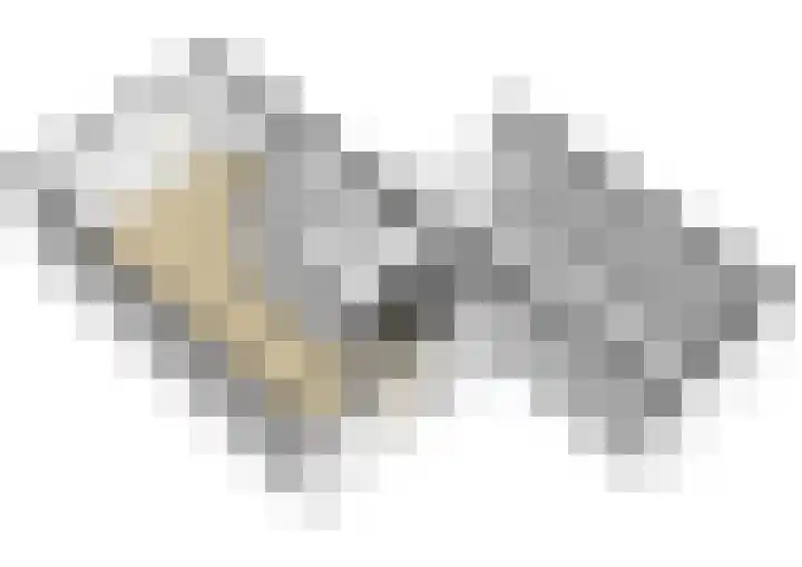 Kastanjelaan 38 Heerle thumbnail 47