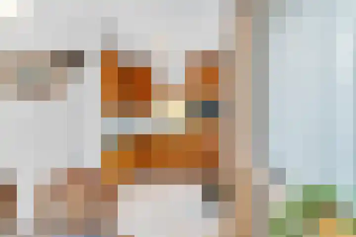 Kastanjelaan 38 Heerle thumbnail 8