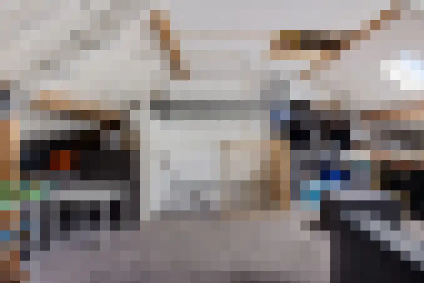 Kastanjelaan 39 Hoensbroek thumbnail 23