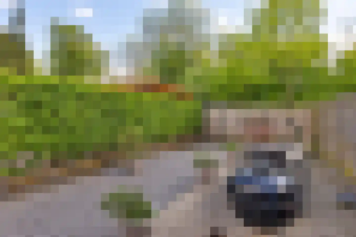 Kastanjelaan 39 Hoensbroek thumbnail 25