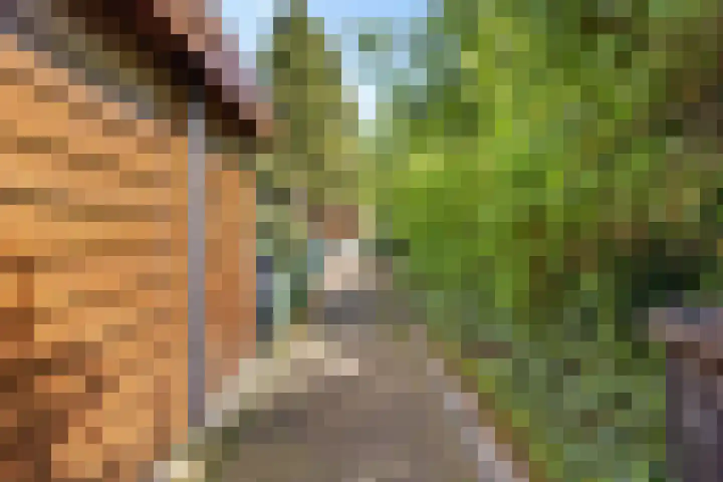 Kastanjelaan 39 Hoensbroek thumbnail 28