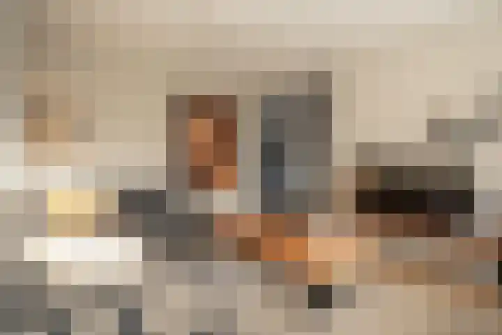 Kastanjelaan 39 Wierden thumbnail 12