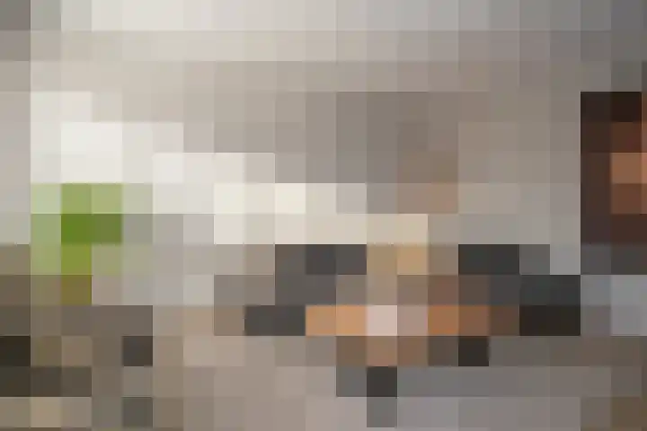Kastanjelaan 39 Wierden thumbnail 13
