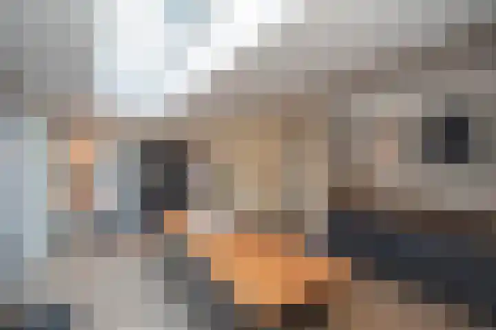 Kastanjelaan 39 Wierden thumbnail 19