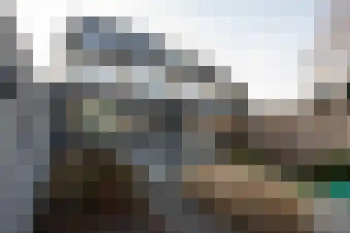 Kastanjelaan 39 Wierden foto 2