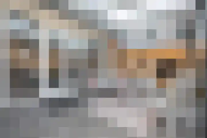 Kastanjelaan 39 Wierden thumbnail 23