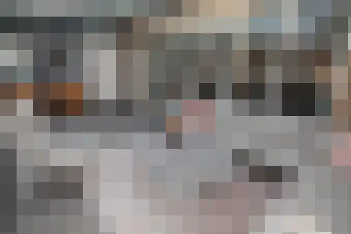 Kastanjelaan 39 Wierden thumbnail 24