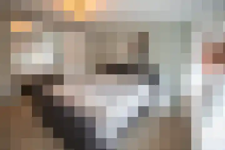 Kastanjelaan 39 Wierden thumbnail 34