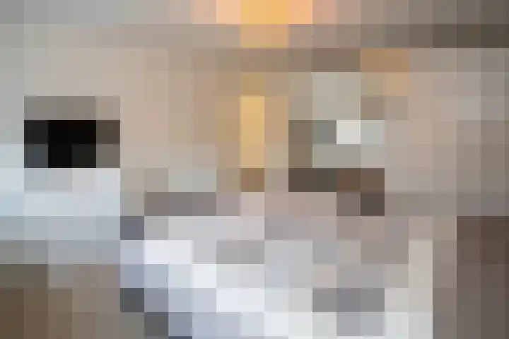 Kastanjelaan 39 Wierden thumbnail 35