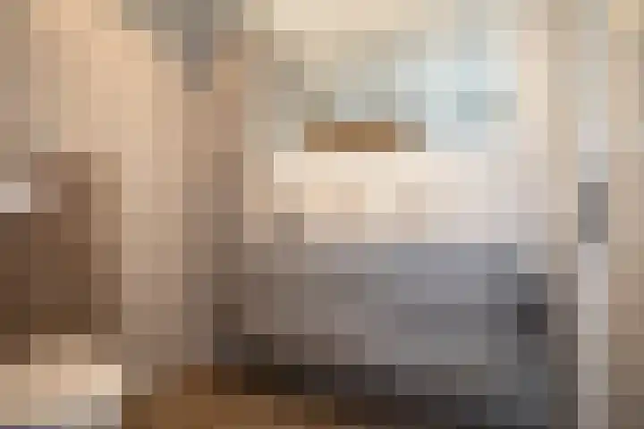 Kastanjelaan 39 Wierden thumbnail 40