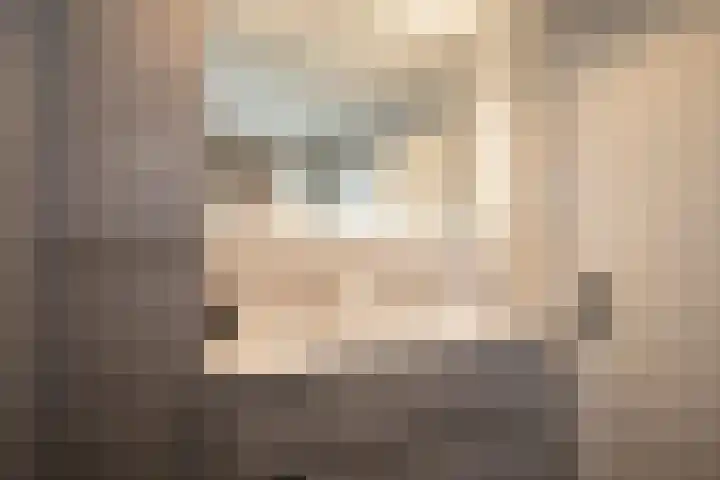 Kastanjelaan 39 Wierden thumbnail 41