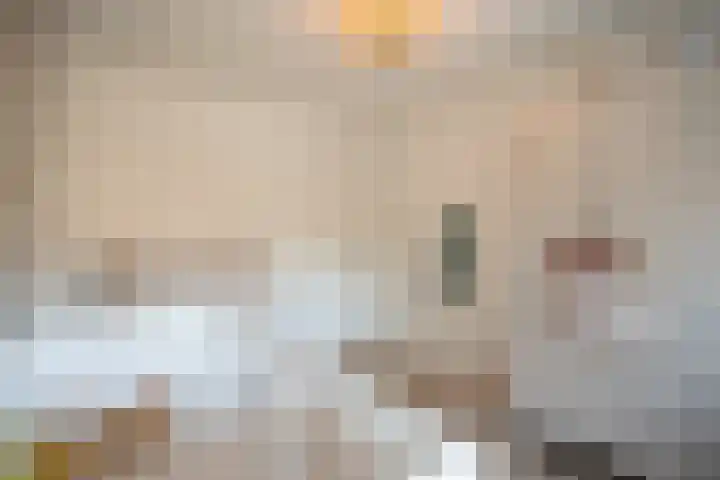Kastanjelaan 39 Wierden thumbnail 43