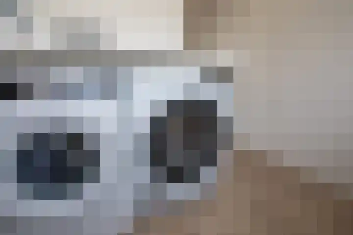 Kastanjelaan 39 Wierden thumbnail 49
