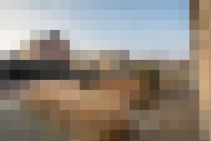 Kastanjelaan 39 Wierden thumbnail 5