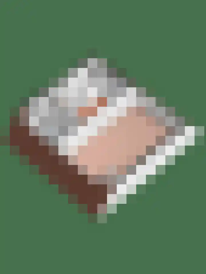 Kastanjelaan 39 Wierden thumbnail 61