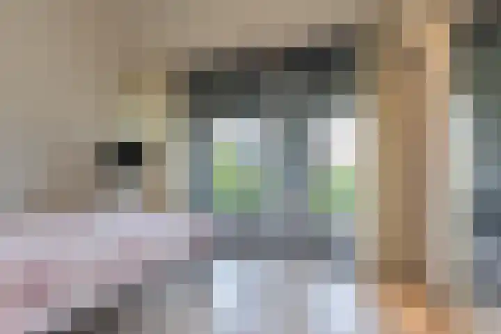 Kastanjelaan 4 12 Sittard thumbnail 14