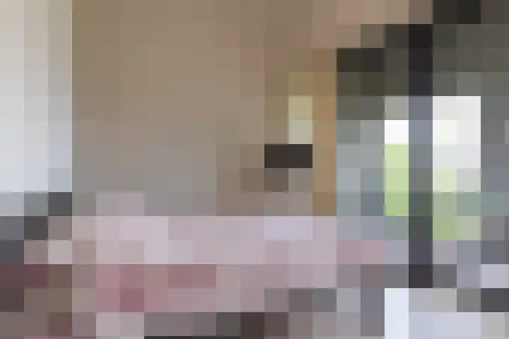 Kastanjelaan 4 12 Sittard thumbnail 15