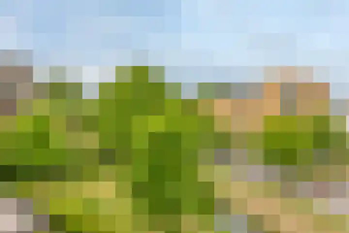 Kastanjelaan 4 12 Sittard thumbnail 36