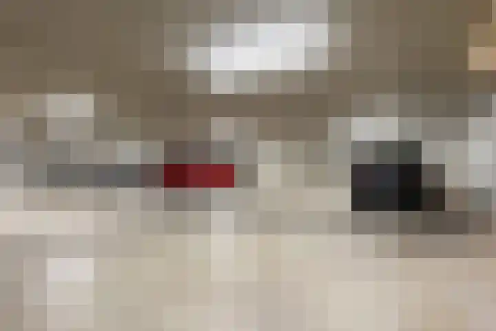 Kastanjelaan 4 12 Sittard thumbnail 37