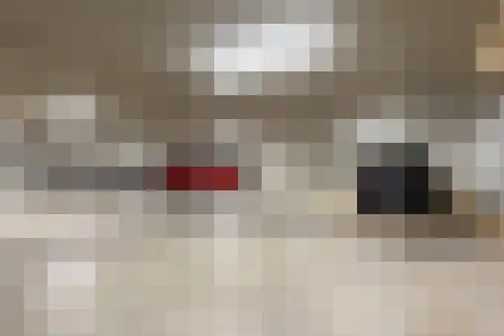 Kastanjelaan 4 12 Sittard thumbnail 38