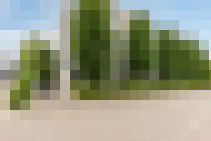 Kastanjelaan 4 12 Sittard thumbnail 40