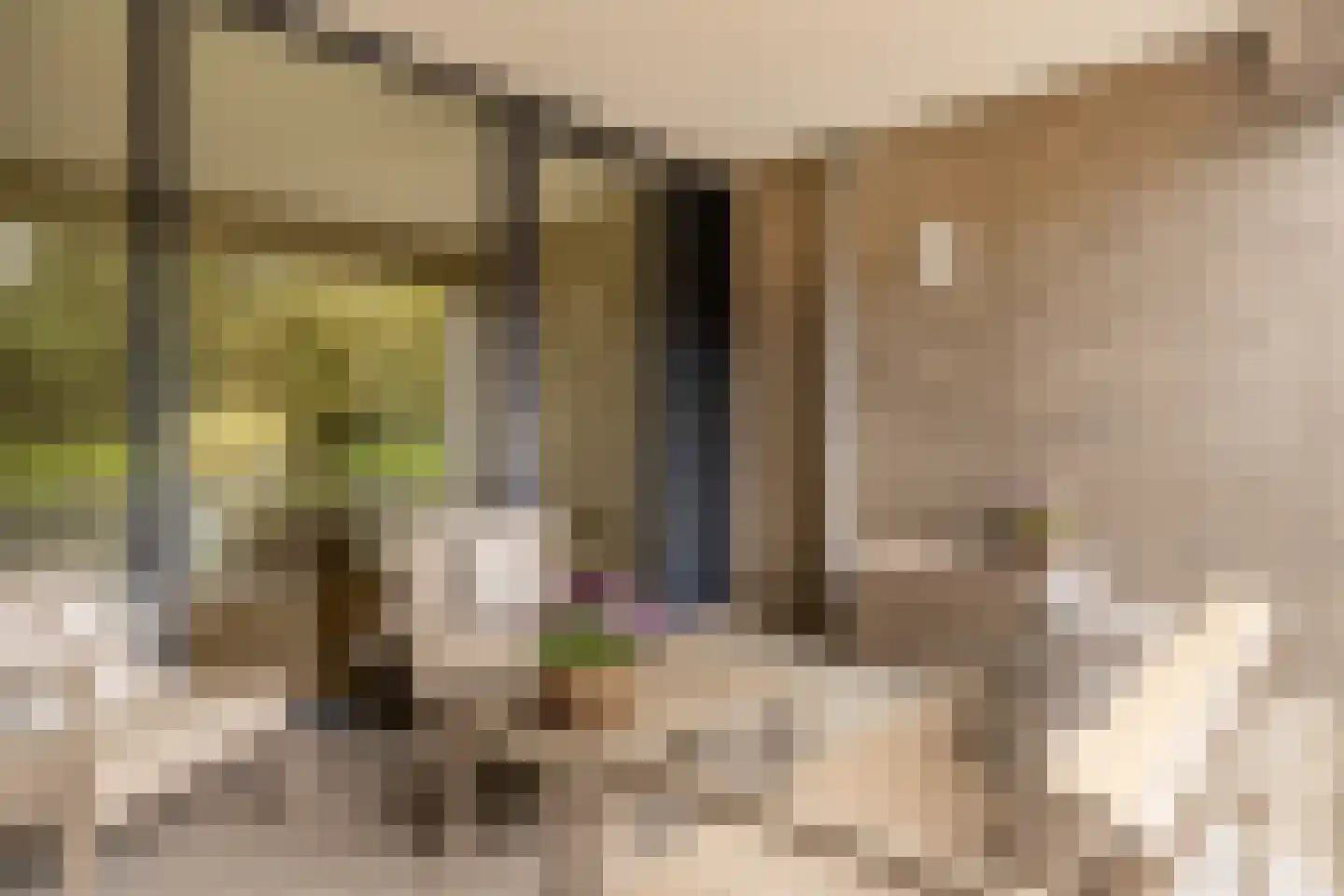 Kastanjelaan 4 2 Sittard thumbnail 35