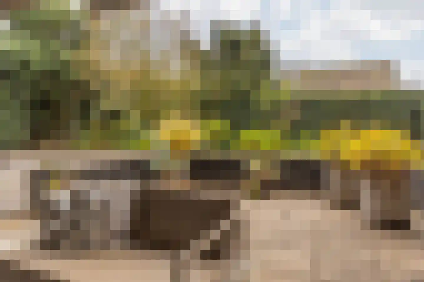 Kastanjelaan 4 2 Sittard thumbnail 36