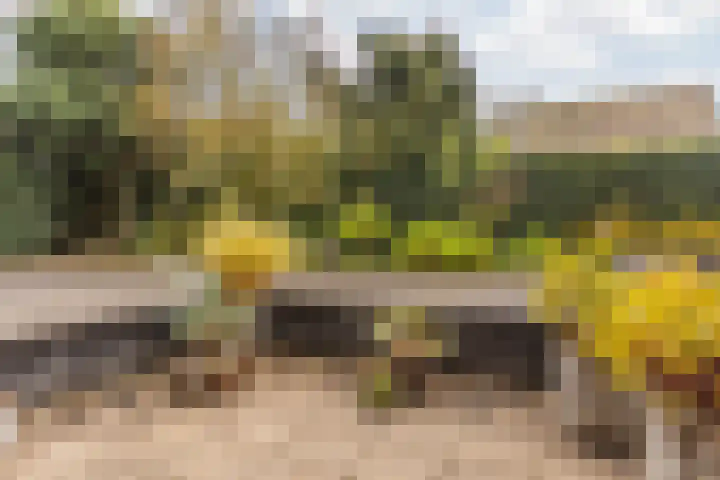 Kastanjelaan 4 2 Sittard thumbnail 37