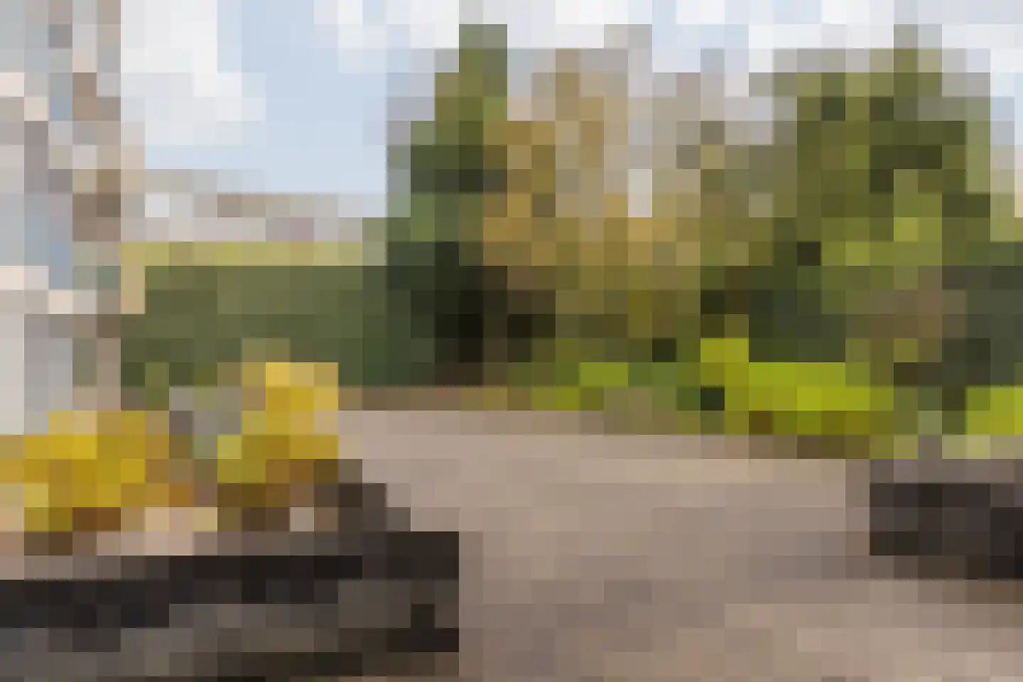 Kastanjelaan 4 2 Sittard thumbnail 38