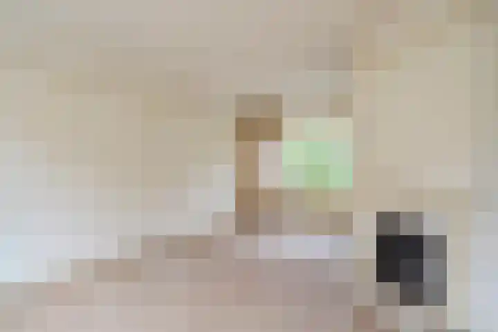 Kastanjelaan 4 Alkmaar thumbnail 11