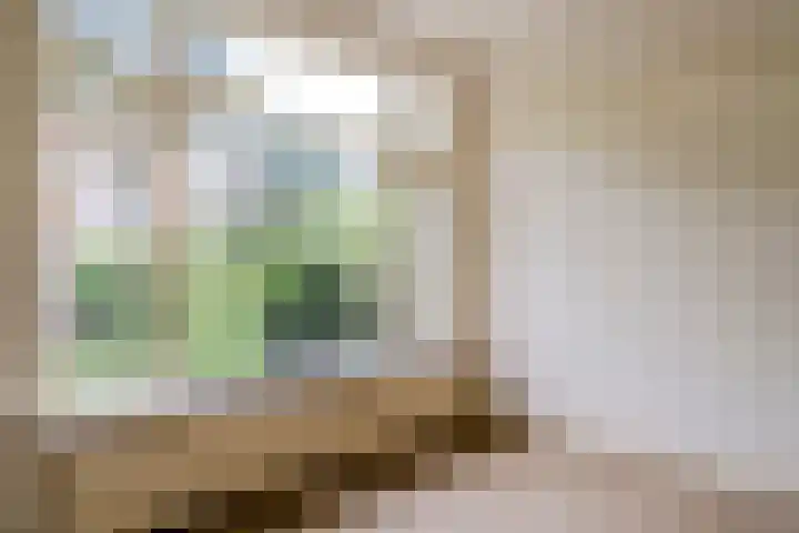 Kastanjelaan 4 Alkmaar thumbnail 12