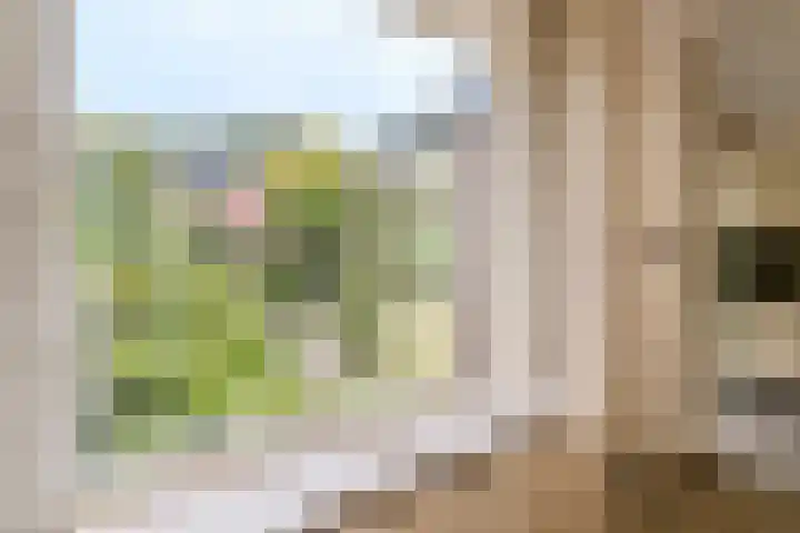 Kastanjelaan 4 Alkmaar thumbnail 13