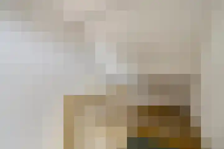 Kastanjelaan 4 Alkmaar thumbnail 28