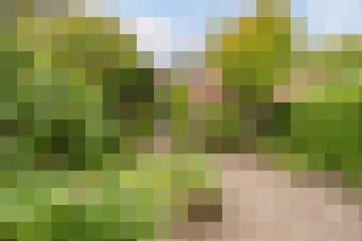 Kastanjelaan 4 Alkmaar thumbnail 32