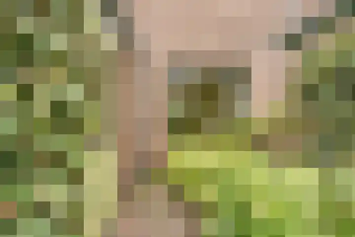 Kastanjelaan 4 Alkmaar thumbnail 33
