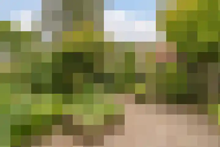 Kastanjelaan 4 Alkmaar thumbnail 34