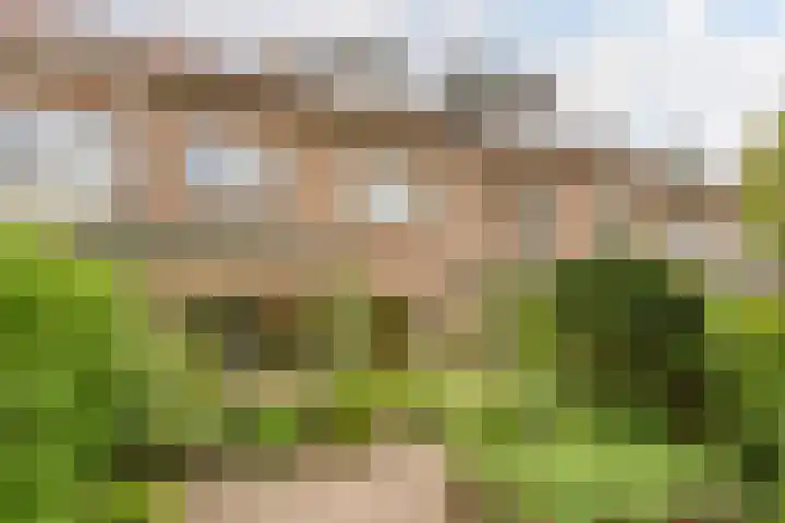 Kastanjelaan 4 Alkmaar thumbnail 35