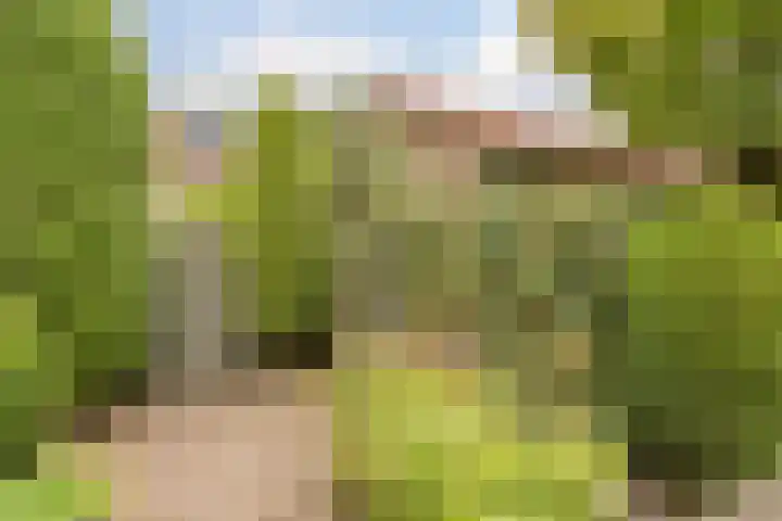 Kastanjelaan 4 Alkmaar thumbnail 36