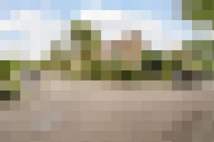 Kastanjelaan 4 Alkmaar thumbnail 37