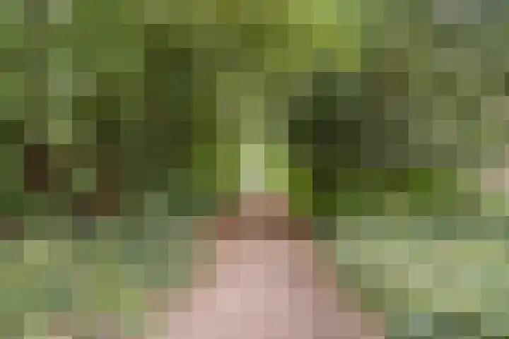 Kastanjelaan 4 Alkmaar thumbnail 38