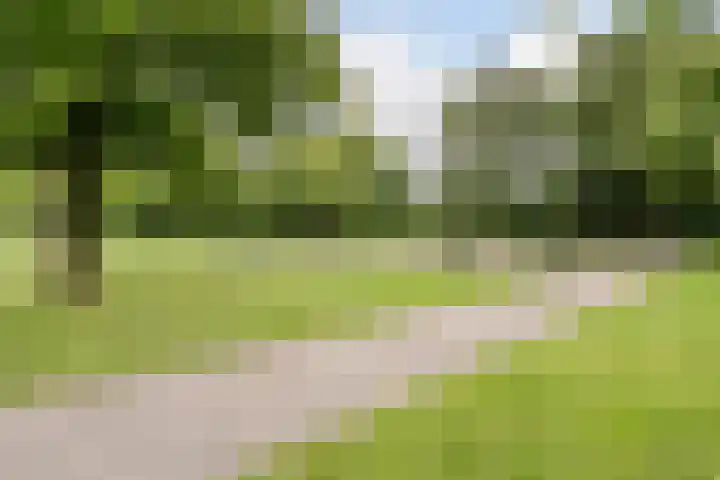 Kastanjelaan 4 Alkmaar thumbnail 4