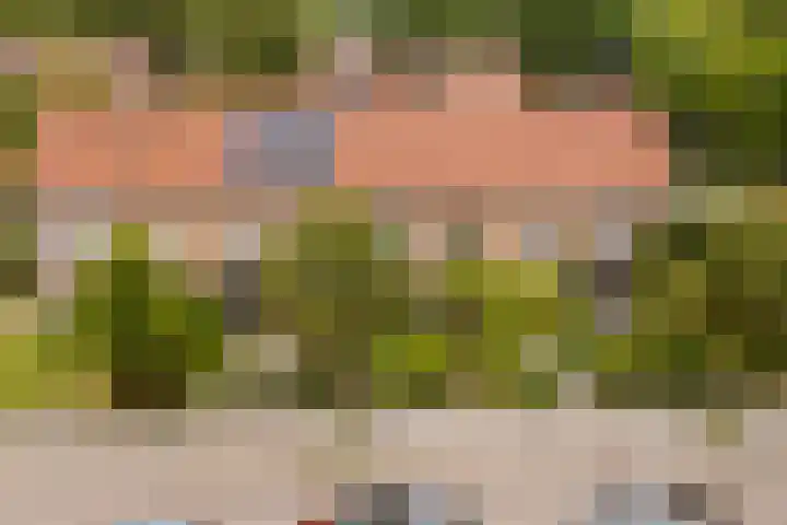Kastanjelaan 4 Alkmaar thumbnail 5