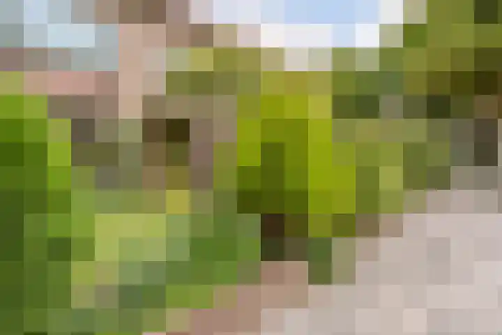 Kastanjelaan 4 Alkmaar thumbnail 6